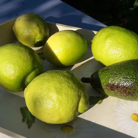 Le Mazet Du Soleil D'or A 300m Nartelle *