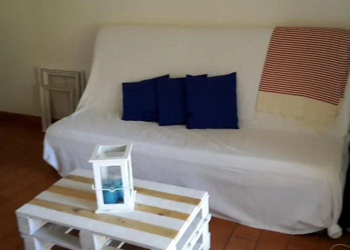 Le Mazet Du Soleil D'or A 300m Nartelle * 圣马克西姆