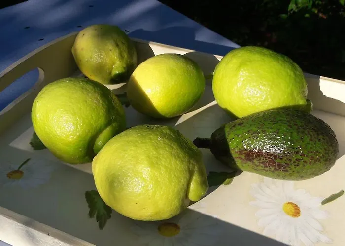 Le Mazet Du Soleil D'or A 300m Nartelle *