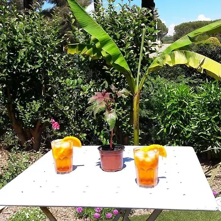 Holiday home Le Mazet Du Soleil D'or A 300m Nartelle Sainte-Maxime